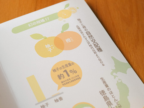 【希少】完熟柚香(ゆこう)　3000g　”””幻の果実”””
生産量が少なくスーパーでは出回らない「幻の果実」
京都の料亭では欠かせない存在であり、
近年はヨーロッパのシェフたちにも愛さるローカル柑橘