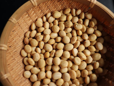 ◎自然栽培◎くるみ豆 5kg《令和6年・山形県鶴岡産》