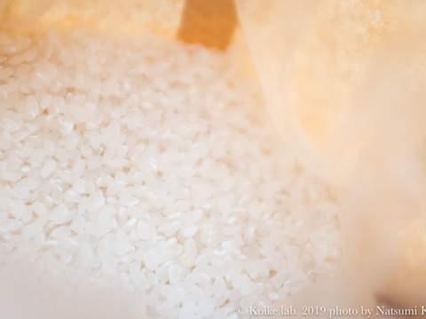【リオレのレシピ付き】2022年度産コシヒカリ 5kg（玄米）【新米】