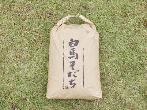 【令和7年米】特別栽培米　つきあかり(白米27kg/玄米30kg)　※さわやかな甘さの中にミルクのようなコクがほのかに感じられます