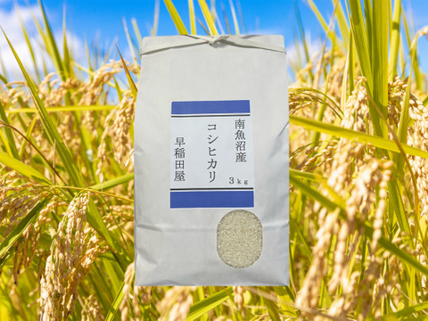 塩沢産コシヒカリ　精米3キロ 南魚沼産コシヒカリ