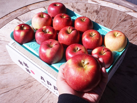 希少品種🍎安祈世🍎3kg りんご好きもうなる皮までおいしい低農薬りんご✨ギフト 贈答用可 予約 旬