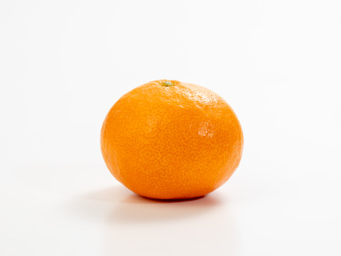 滑らかな舌触り！あふれる果汁！糖度だけでは測れない深い甘みとコク！匠の技が光る『頑固みかん』Lサイズ、10kg