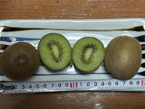 農薬・化学肥料不使用、　熟成で甘みが乗ってきた！グリーンキウイＳサイズ2ｋｇ
