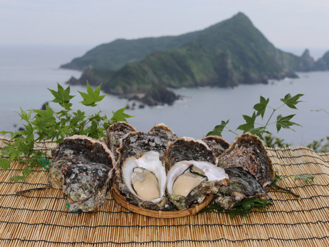 【南さつま産】間違いない自慢の美味！岩牡蠣　3Ｋ（7個～10個）