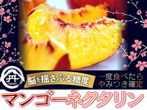 【糖度17度保証】一度食べたらやみつき確定マンゴーネクタリンお試し約1kg3～4個🍑 8月下旬発送