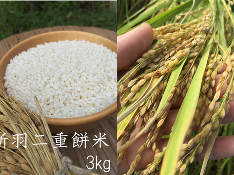 新米　令和４年産【特別栽培米】京都丹後産　新羽二重餅米　３K