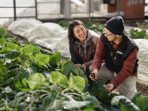 【高知県産】新生姜　1㎏【2025年10月】＃栽培期間中農薬・化学肥料不使用