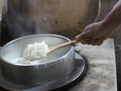 熊本在来米「穂増」　自然栽培（天日干し）玄米　20kg