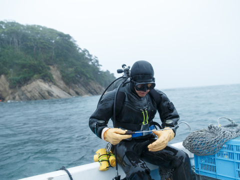 宮城県女川産冷凍うに「金華うに®雪幻」