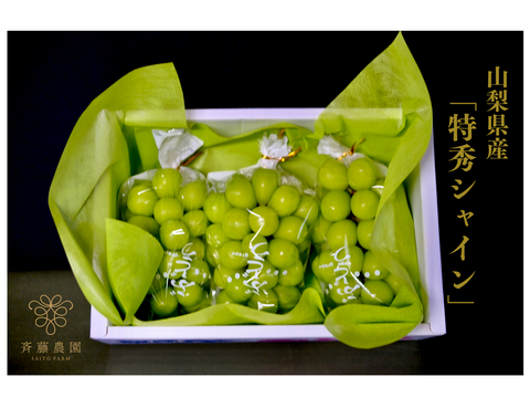 フジコシャインマスカット２キロ shinemuscut-02.jpg?v=1725677276