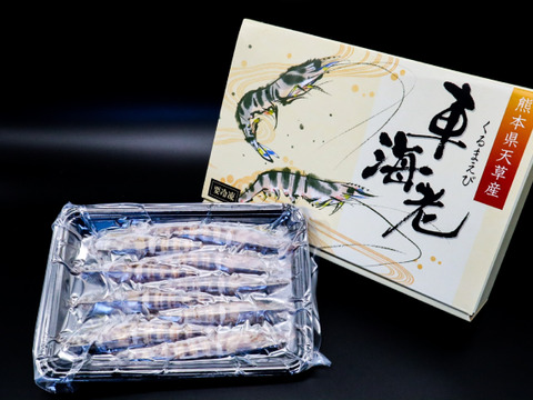 【中サイズ】新鮮！活き〆急速冷凍 車えび 500ｇ（21-26尾）刺身でも食べられます！