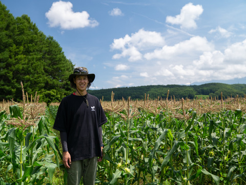 【生も美味い】濃厚激甘『八ヶ岳ヴィーナス』＜お試しに＞雑誌リンネル掲載｜配送日時指定⭕️｜370g×4本