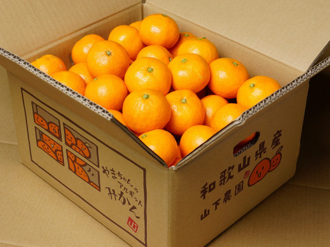 【福袋】『樹上完熟早生みかん』約10kg SS~Lサイズ＋ジャムとマーマレード付き