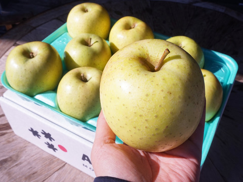 【特選🍏低農薬】子育て世帯へも！酸っぱくない甘い青森りんご3kg 「王林」 もぎたて食感長持ち（スマフレ）貯蔵