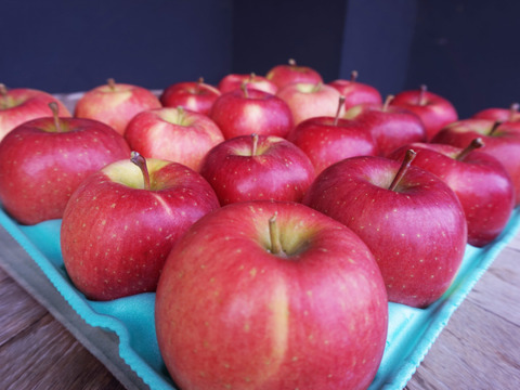 希少品種🍎安祈世🍎たっぷり10kg りんご好きもうなる皮までおいしい低農薬りんご✨ギフト 贈答用可 予約 旬