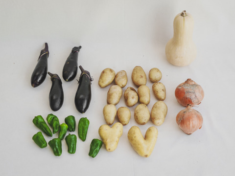 ハートのジャガイモが入った有機野菜カレーのセット