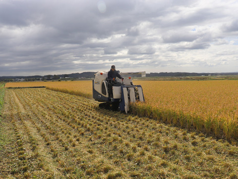 【新米】自然栽培（農薬・有機化学肥料不使用）のお米！ 白米５kg　令和７年産