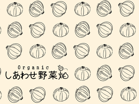 スープで絶品です　【有機JAS認証】たまねぎ3.5㎏
