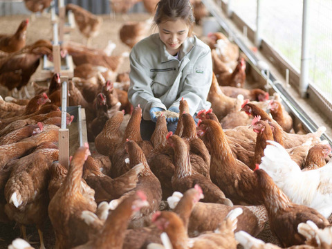 【ハーブ飼料100％】平飼い有精卵香草卵10個入×3パック　レモンイエローの黄身！ハーブの力で生臭さゼロ！
