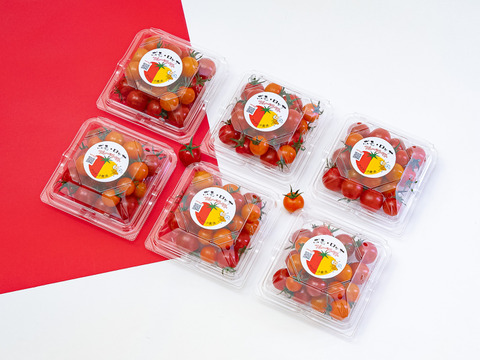 毎日食べたい！濃厚な甘さと酸味が抜群『ポモロッサ6パック入ミックス』