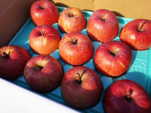 発送中！訳ありご家庭用🍎低農薬で皮ごと食べられる青森りんご「未希ライフ」3kg
