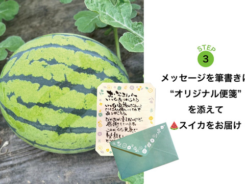 【父の日ギフト】種ごと食べれる！アレンジもしやすいスイカ『ぷちっと』（1玉：約4人分）　メッセージカード付き