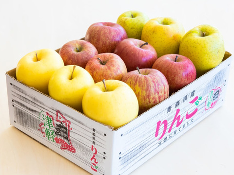 【家庭用】【ご予約受付中】11月中旬より発送🍏🍎穫れたて✨青森県産完熟りんご3品種❗️（サンふじ・金星・王林）5kg（18〜20個入）