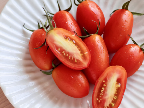 【朝市限定】【とまほっぺ】アイコトマト 1kg｜愛媛・久万高原直送