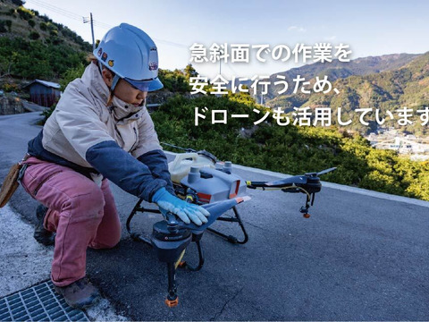 【濃厚な味わい】今が一番おいしい中生みかん（秀品 5kg）｜勝浦町産