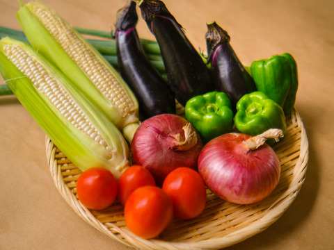 『朝採れ、シャキシャキ！お試し野菜』農園自慢の情熱野菜セット7品目★Sセット　１〜２人暮らし向け