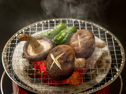 原木椎茸 生 肉厚 1kg【春子のご予約】3月10日頃から発送「のとてまり、茸王」と同系 ひるぜん原木しいたけ 生産者直送 岡山県 蒜山（ひるぜん）高原/鳥取産 クール便発送