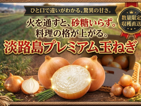 【プロ仕様・保存性◎】熟成の旨み！淡路島完熟ターザン大容量10kg（サイズ混合）