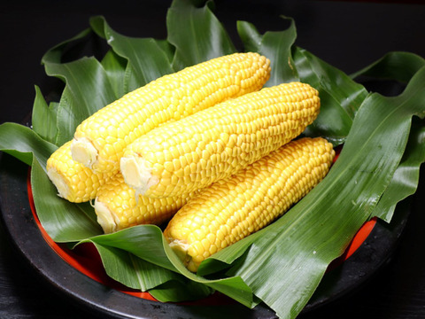 甘い★黄色とうもろこし6本