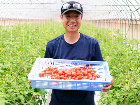 『希少』チェリートマト使用　濃厚な甘さ！赤いチェリートマトジュース180ml×5本入