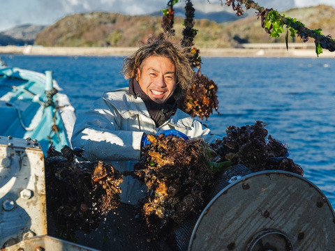 1/3革命｜南三陸産 牡蠣のさけ蒸し240g【にっぽんの宝物JAPAN大会素材進化部門準グランプリ】ぷりぷり濃厚・簡単ごちそう