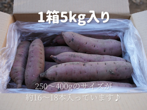 🍠熟成べにはるか🍠千葉県産さつまいも5kg【農薬化学肥料不使用・土付き】