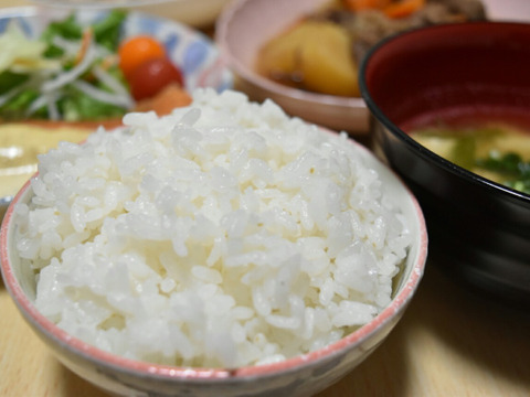 茨城産コシヒカリ！【玄米約10㎏】栄養たっぷり！令和３年産新米！