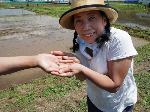 高アミロース・低GI米！豊受白米5㎏【2025年産】