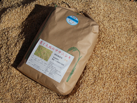 玄米5kg(農薬・化学肥料不使用)と平飼い卵30個のセット