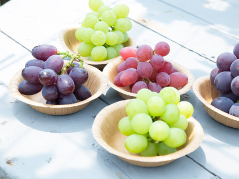 【9/21-30：3～5房】旬のぶどう詰め合わせセット（品種おまかせ／約1.8kg）