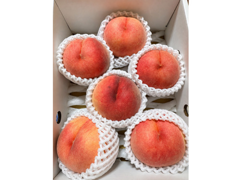 クール便　大玉ジューシー！桃【あかつき　秋田県産】贈答用2kg
