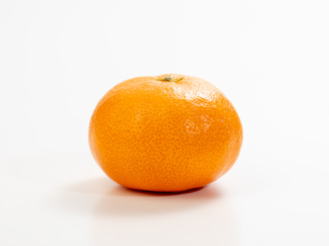 滑らかな舌触り！あふれる果汁！糖度だけでは測れない深い甘みとコク！匠の技が光る『頑固みかん』3Lサイズ、10kg