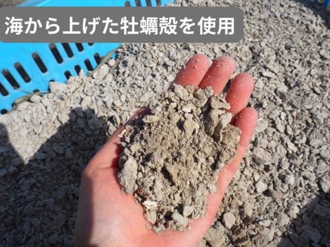 【有機肥料•農薬不使用】喉を潤すジューシーさと飽きない優しい甘み♡福井で生まれた華小町トマト！【1kg】