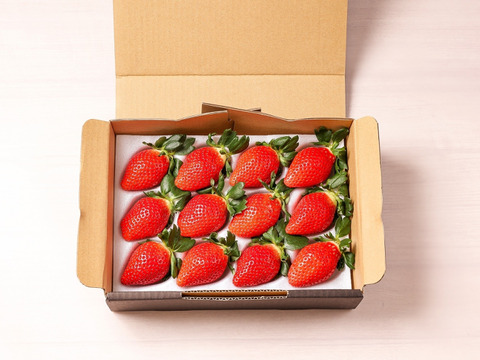 【限定50セット】群馬県の旬が届く買い切り定期便（食べチョク公式）