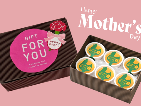 遅れてごめんね！『母の日』かぼちゃプリン(6個セット)