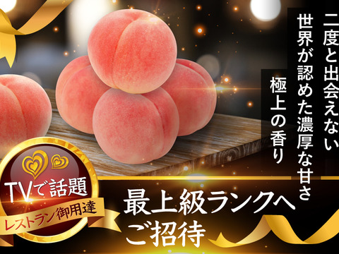 日本テレビ『ニノさん』で話題沸騰中！8月中旬お届け🍑糖度15度以上ワンランク上の樹上完熟プレミア桃【桃2kg個数限定】