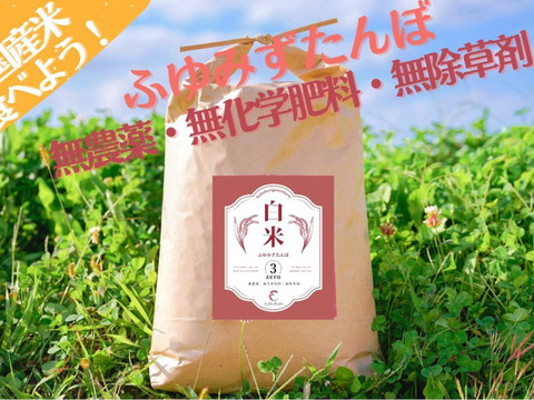 新米‼　R5年産　ふゆみずたんぼ米ササニシキ白米5ｋｇ