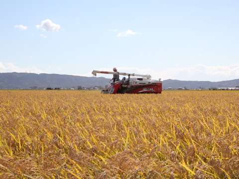 400年農家のササニシキ 玄米 5kg～農薬・化学肥料不使用