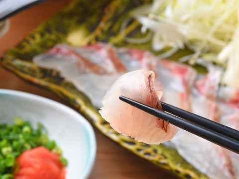 【皮ありの美味さにアッと驚く！】新鮮な真鯛をぜひお刺身で！【皮あり】